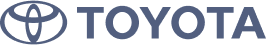 Двигатель programmatic 
в России